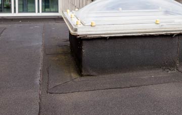 disadvantages of Cwm Twrch Isaf flat roofs