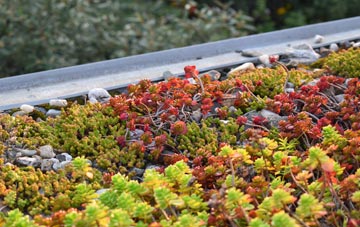 the cost of Cwm Twrch Isaf green roof installation