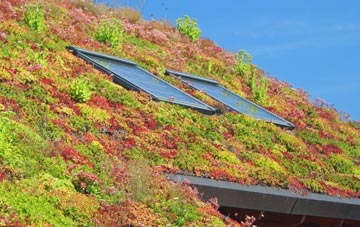 Cwm Twrch Isaf living roof systems